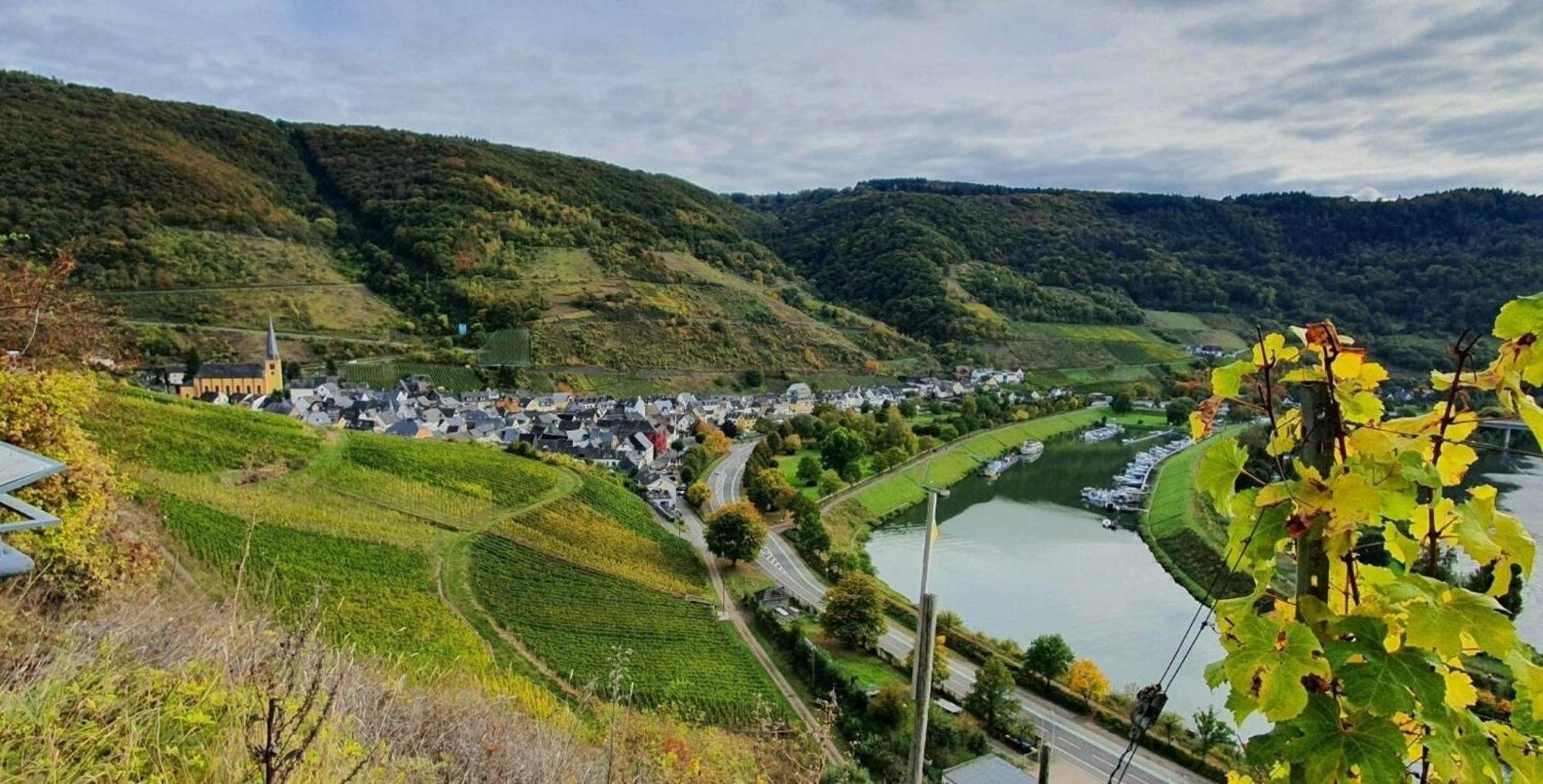 Ferienwohnung An Der Mosel, Romeo Senheim Dış mekan fotoğraf