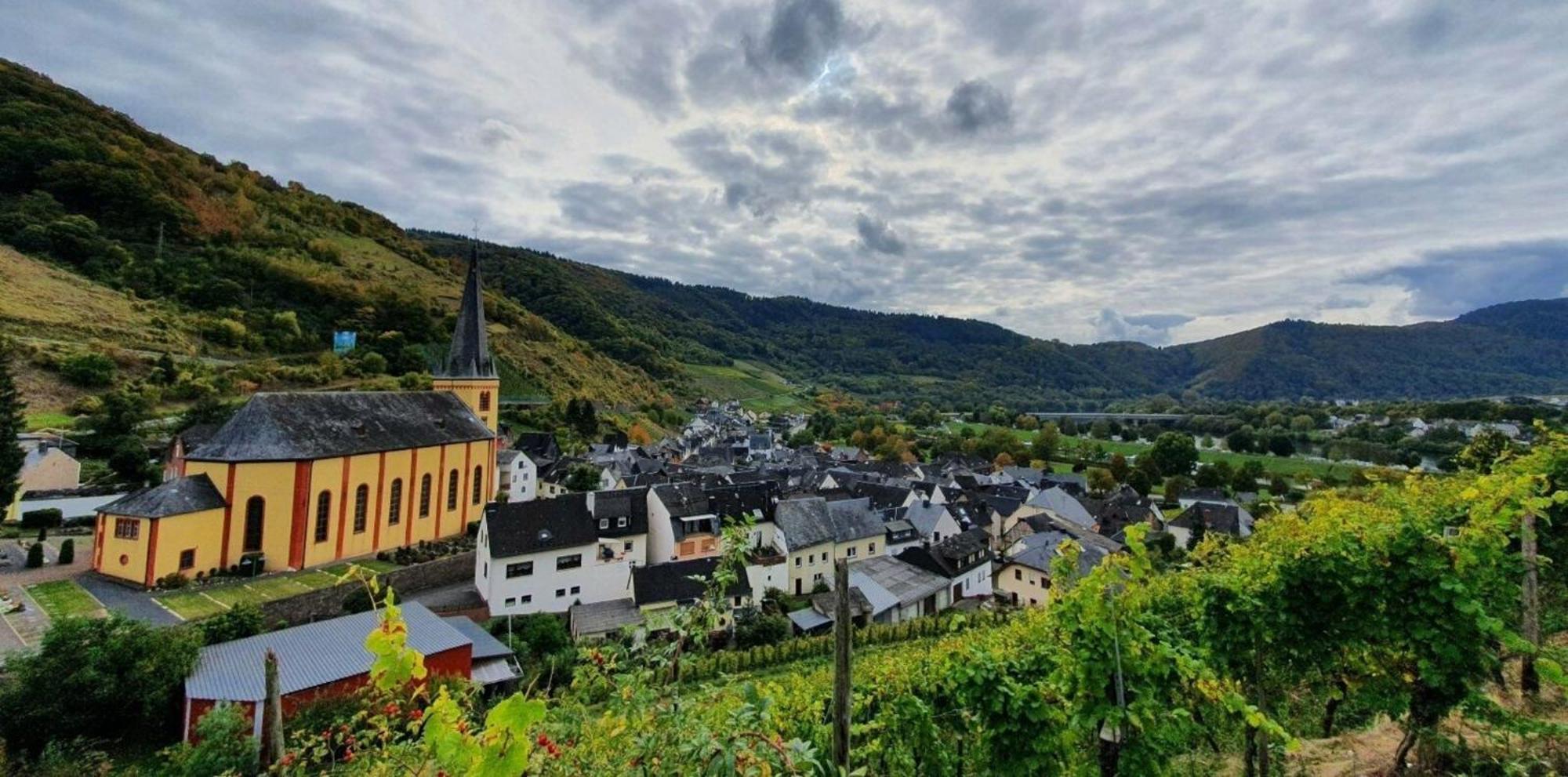 Ferienwohnung An Der Mosel, Romeo Senheim Dış mekan fotoğraf